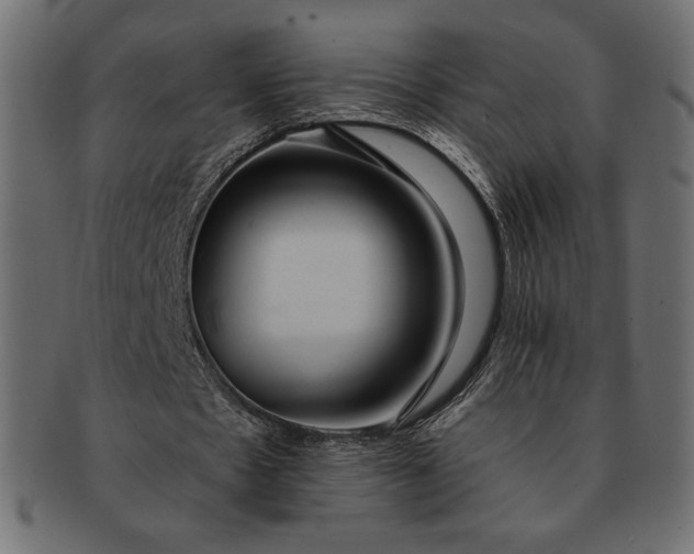 X0000091700481200709071352