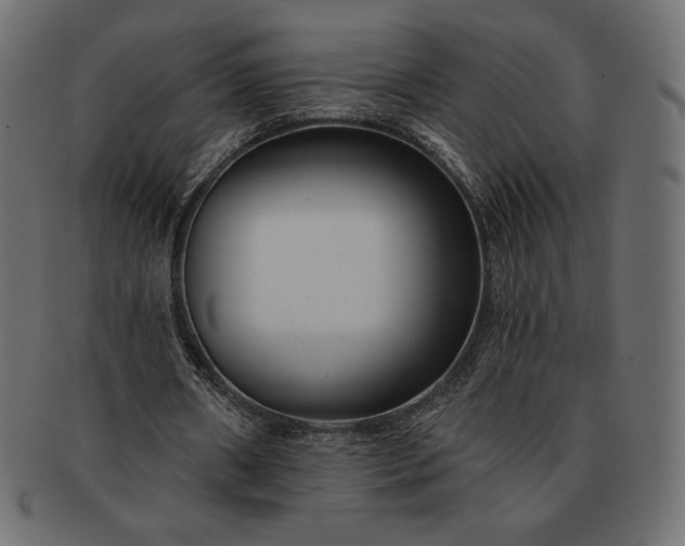 X0000091700482200709071352