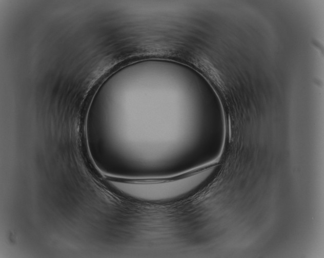 X0000091700483200709071352