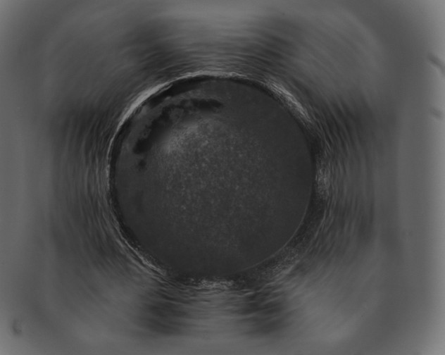 X0000091700484200709071352