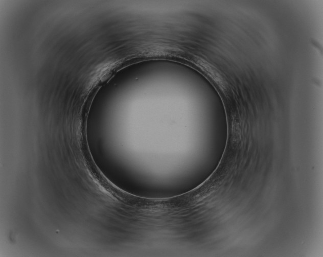 X0000091700485200709071352