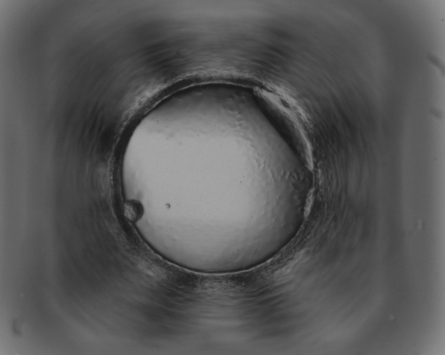 X0000091700487200709071352