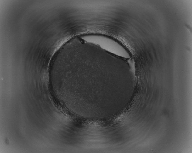 X0000091700488200709071352