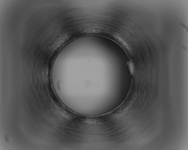 X0000091700490200709071352