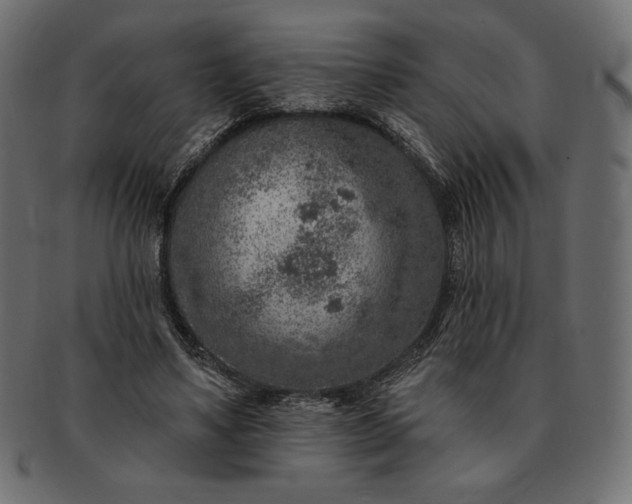 X0000091700491200709071352