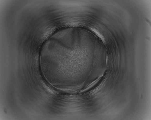 X0000091700493200709071352