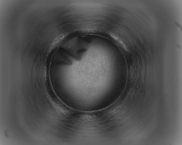 X0000091700494200709071352