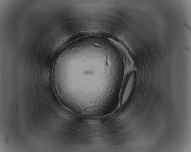 X0000091700495200709071352