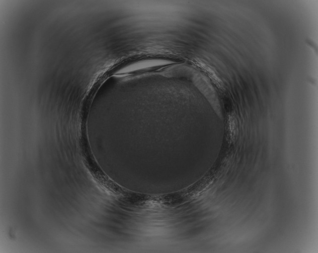 X0000091700496200709071352