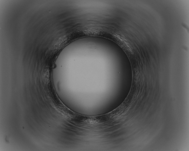 X0000091700498200709071352