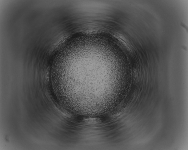 X0000091700499200709071352