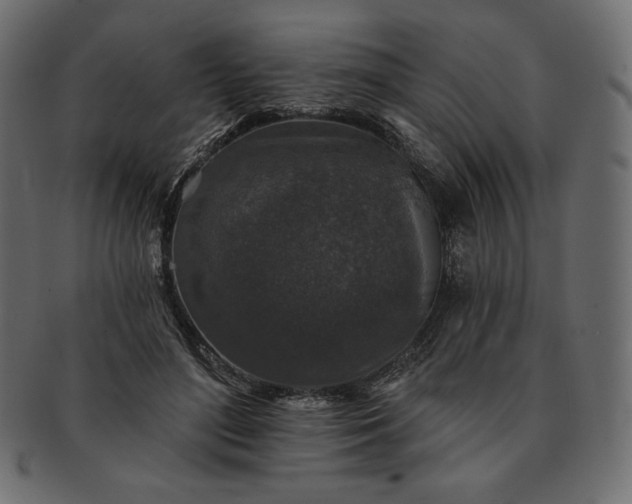 X0000091700500200709071352