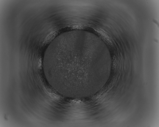 X0000091700502200709071352