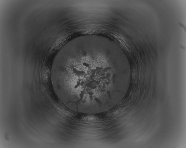 X0000091700503200709071352