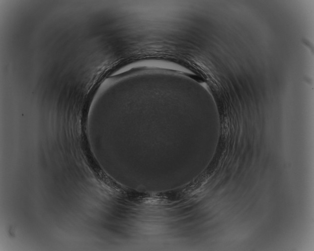 X0000091700504200709071352