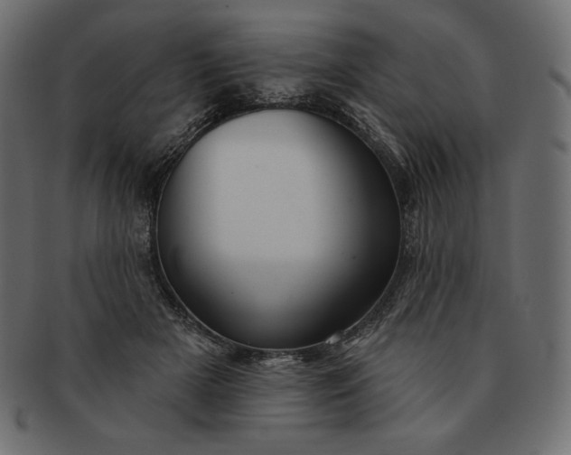 X0000091700505200709071352