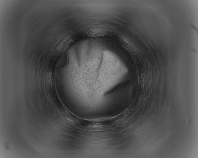 X0000091700506200709071352