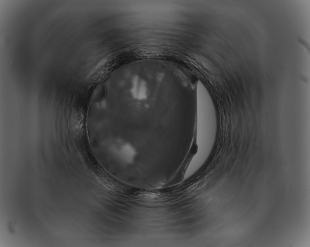 X0000091700507200709071352