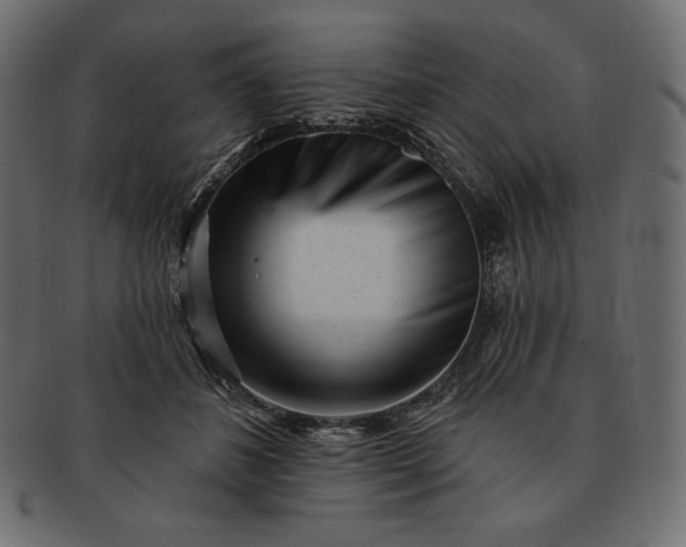 X0000091700508200709071352