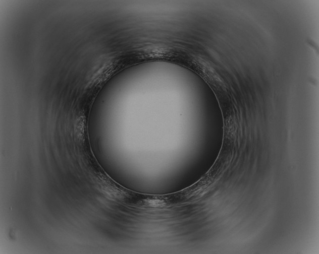 X0000091700509200709071352