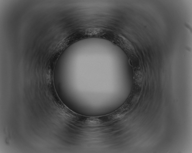 X0000091700510200709071352