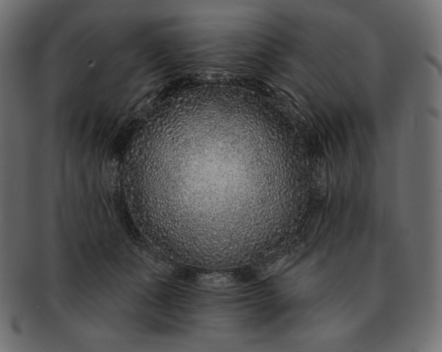 X0000091700511200709071352