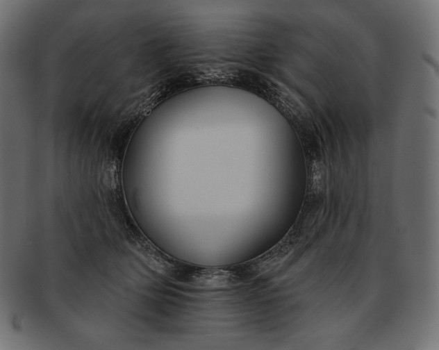 X0000091700514200709071352