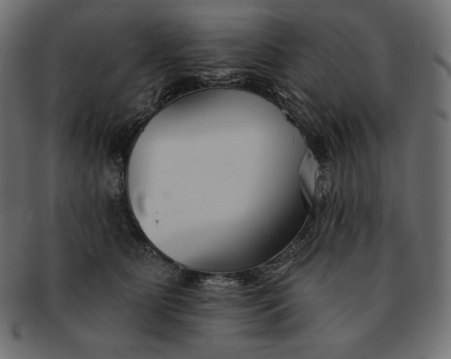 X0000091700515200709071352