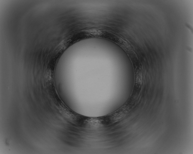 X0000091700518200709071352