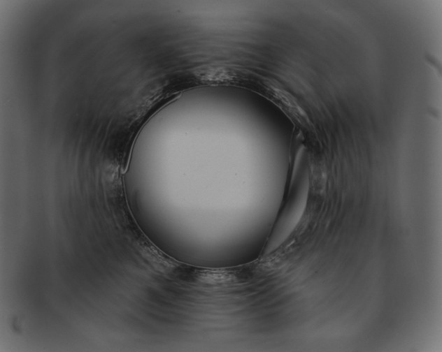 X0000091700521200709071351