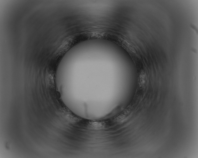 X0000091700522200709071351