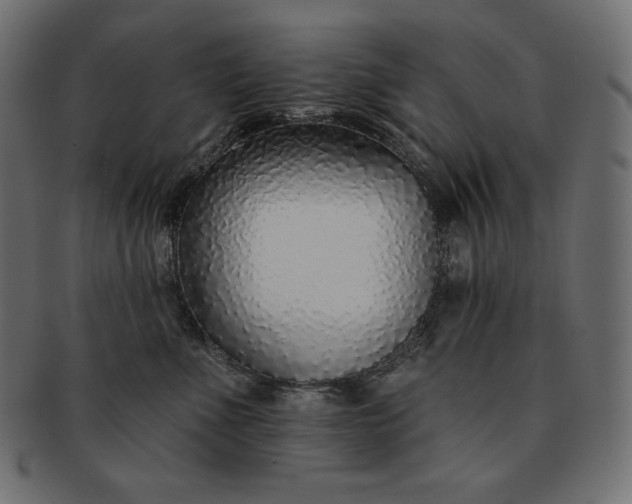 X0000091700523200709071351