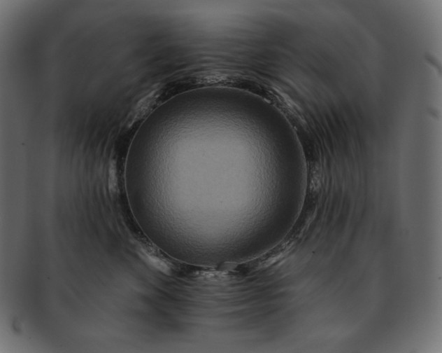 X0000091700524200709071351