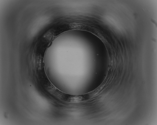 X0000091700525200709071351