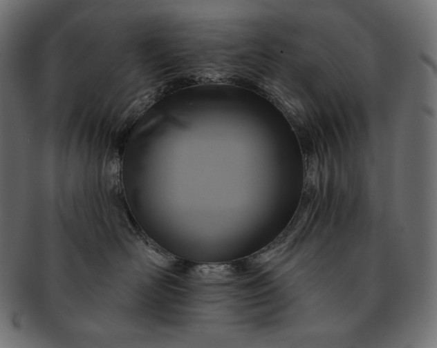 X0000091700526200709071351