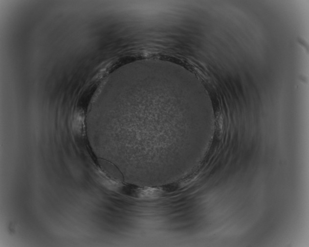 X0000091700527200709071351