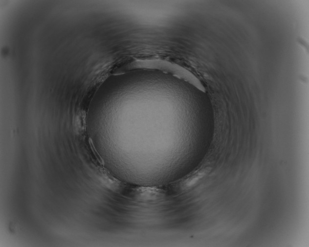 X0000091700528200709071351