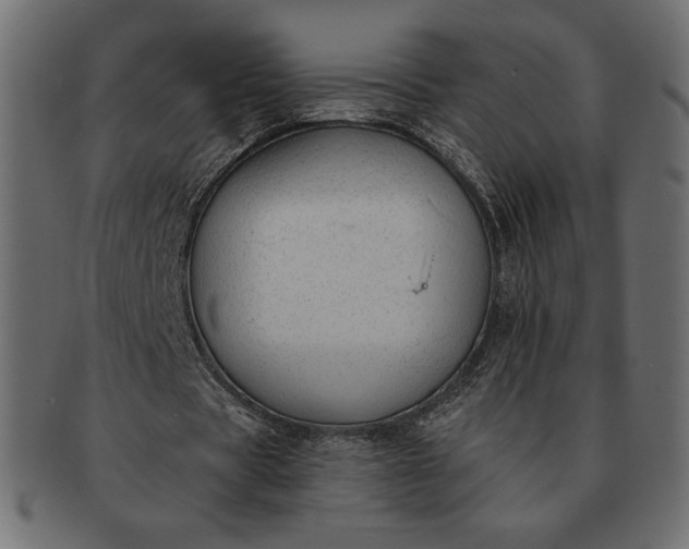 X0000091700529200709071351