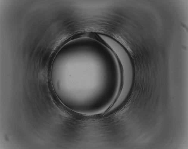 X0000091700530200709071351