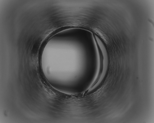 X0000091700532200709071351