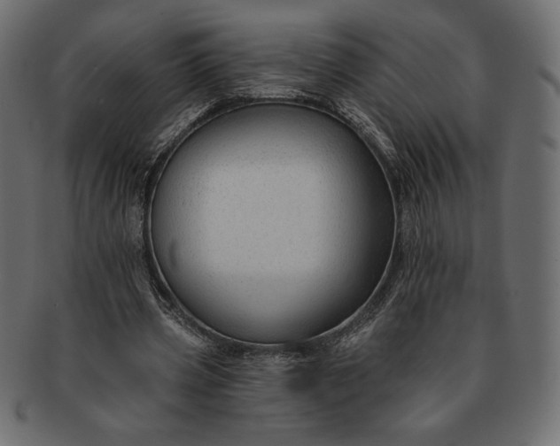 X0000091700533200709071351