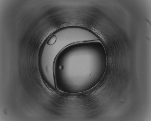 X0000091700534200709071351