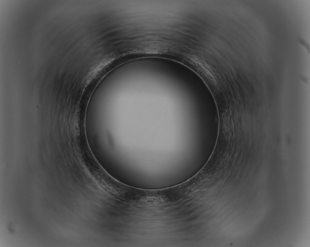 X0000091700536200709071351