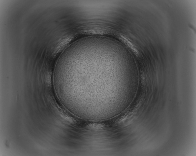 X0000091700537200709071351