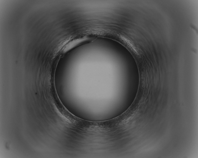 X0000091700538200709071351