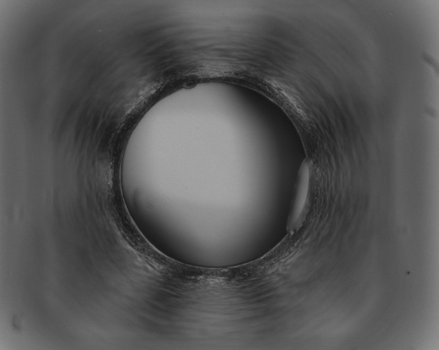 X0000091700539200709071351