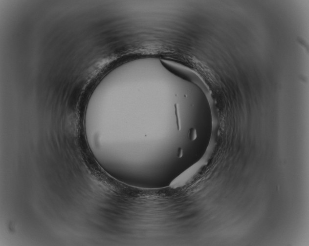 X0000091700540200709071351