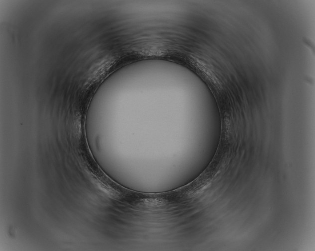 X0000091700541200709071351