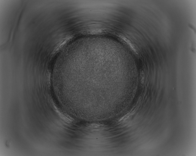 X0000091700542200709071351