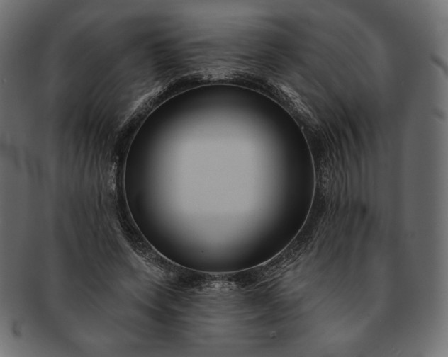 X0000091700543200709071351